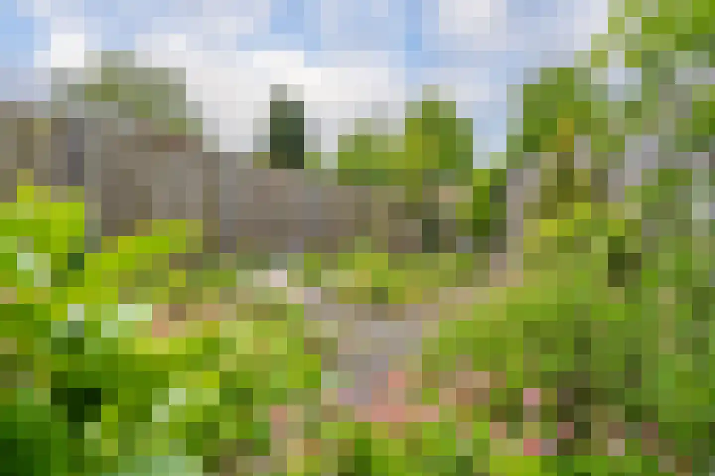 Zuringes 97 Assen thumbnail 49