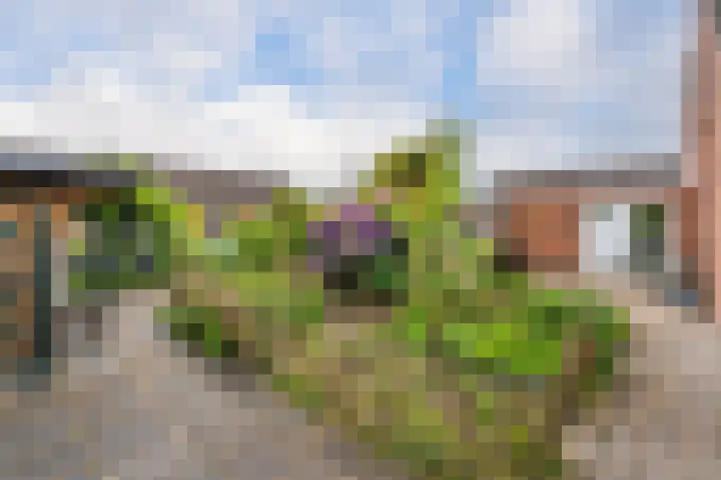 Zuringes 97 Assen thumbnail 51