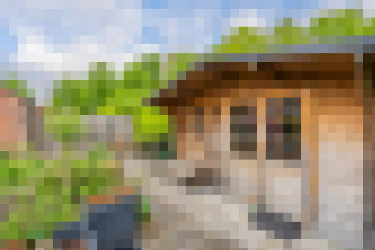 Zuringes 97 Assen thumbnail 53