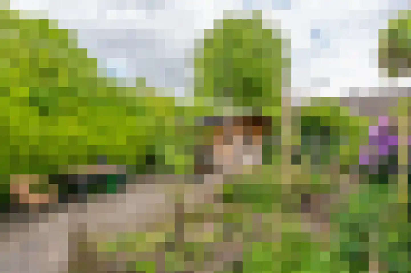 Zuringes 97 Assen thumbnail 55