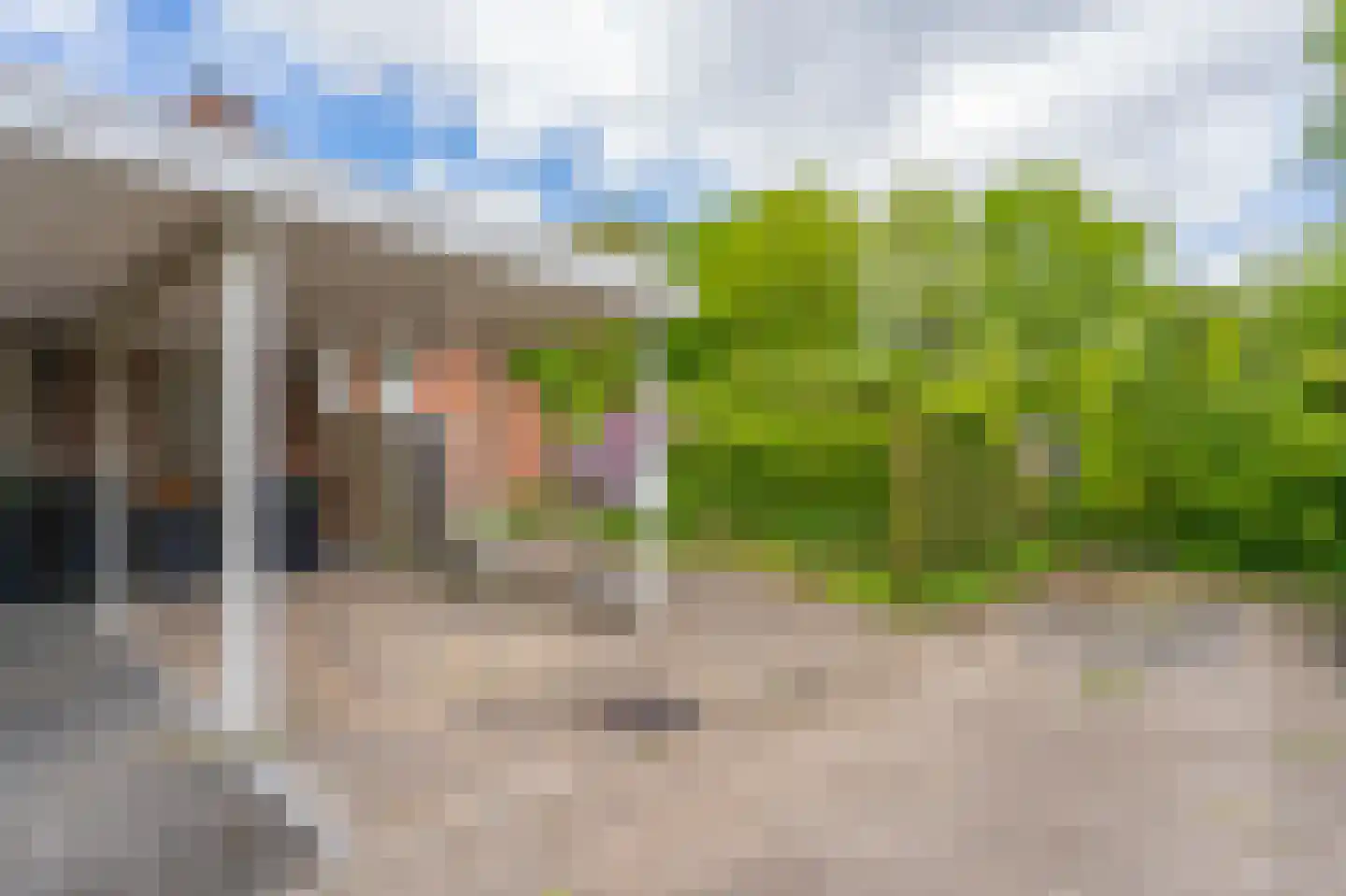 Zuringes 97 Assen thumbnail 8