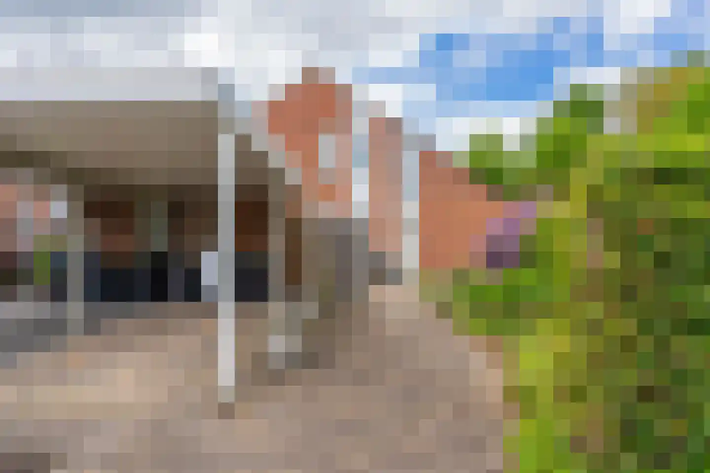 Zuringes 97 Assen thumbnail 9