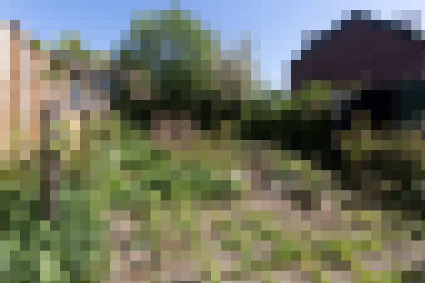 Zuringlaan 19 Baarn thumbnail 23