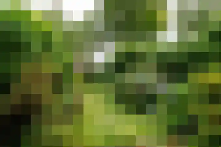 Zuringlaan 23 Baarn thumbnail 10