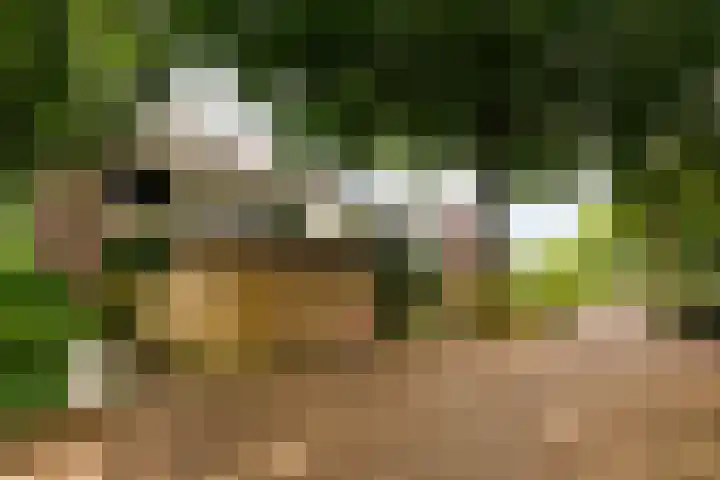 Zuringlaan 23 Baarn thumbnail 21