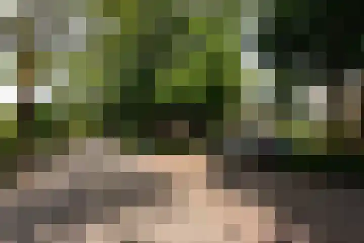 Zuringlaan 23 Baarn thumbnail 22