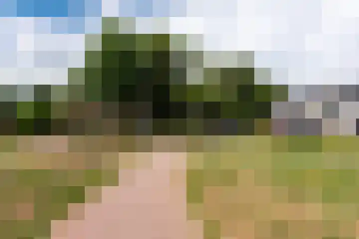 Zuringlaan 23 Baarn thumbnail 24