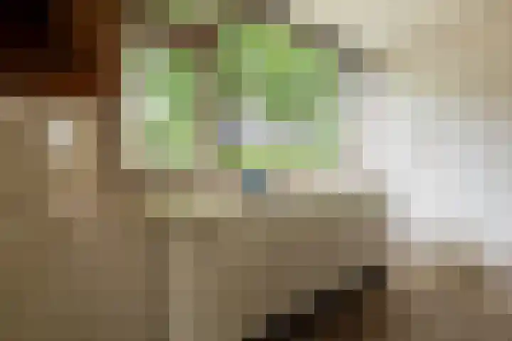 Zuringlaan 23 Baarn thumbnail 6