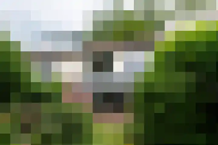 Zuringlaan 23 Baarn thumbnail 9