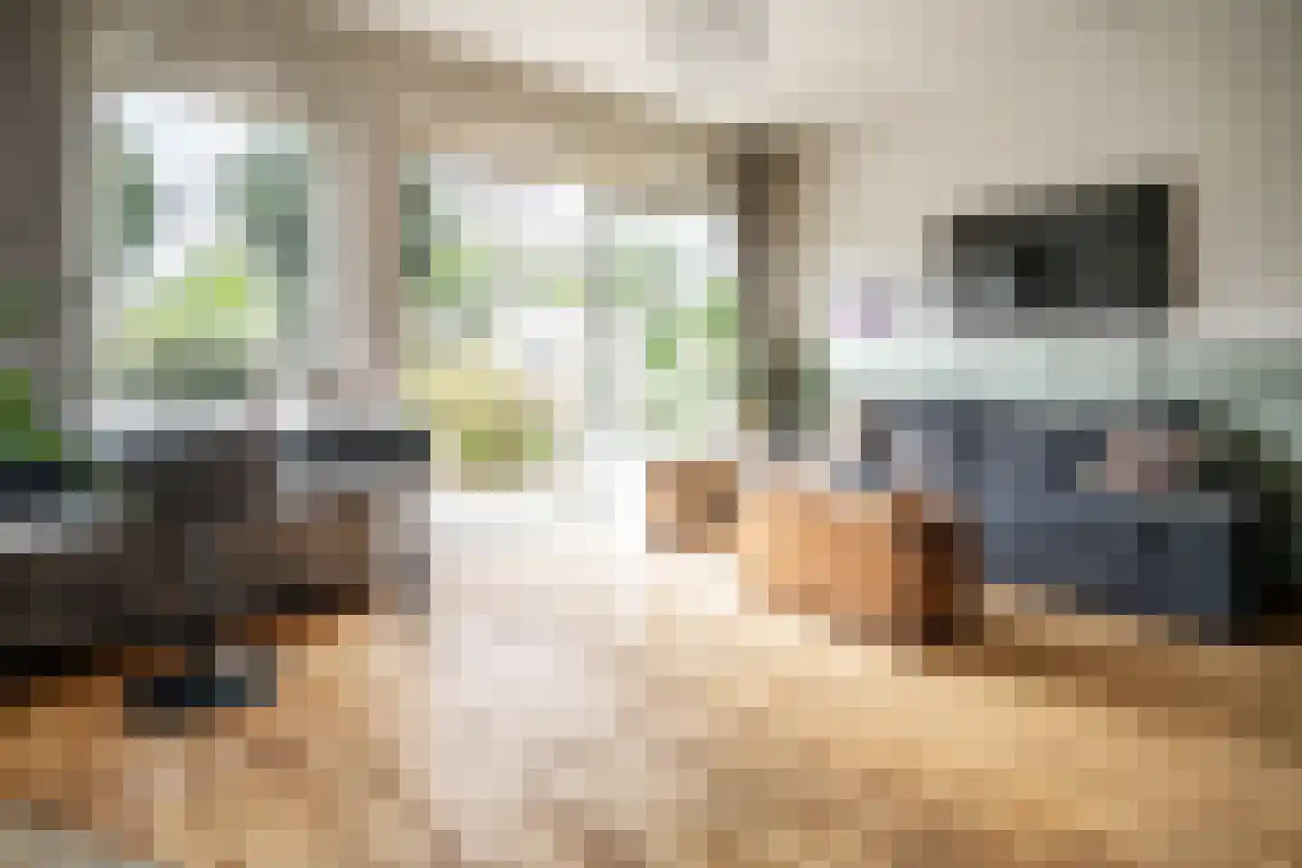 Zuringvaart 5 Zoetermeer thumbnail 14