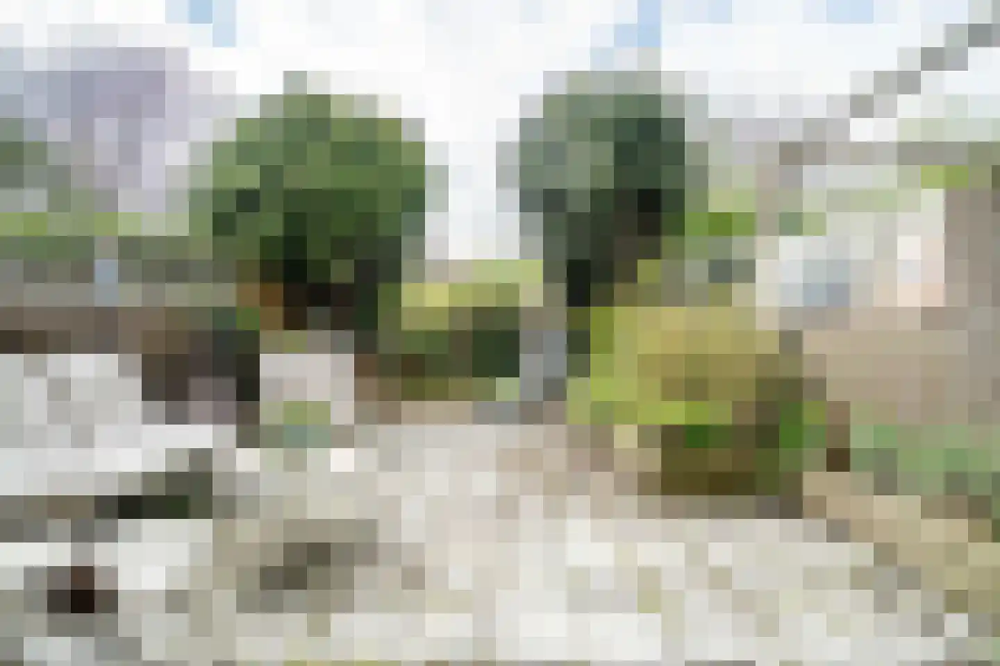 Zuringvaart 5 Zoetermeer thumbnail 16