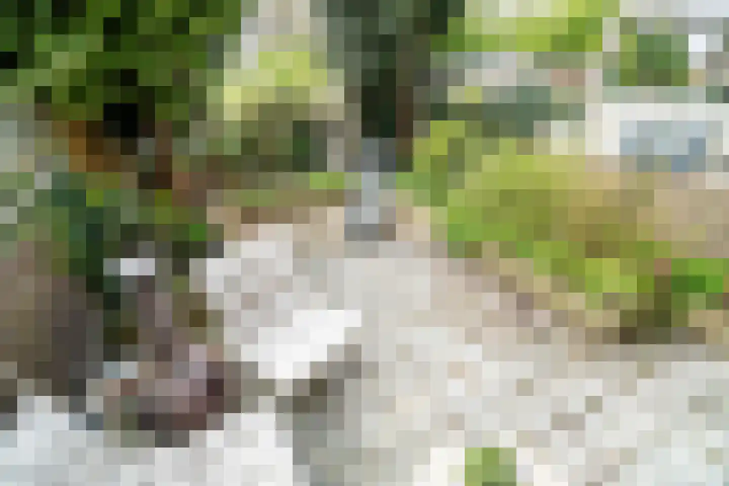 Zuringvaart 5 Zoetermeer thumbnail 17