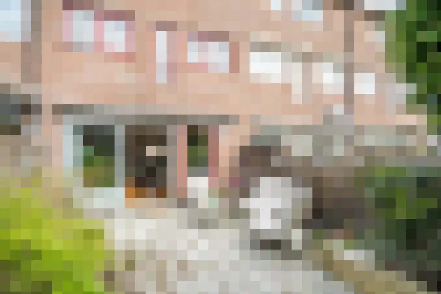 Zuringvaart 5 Zoetermeer thumbnail 19