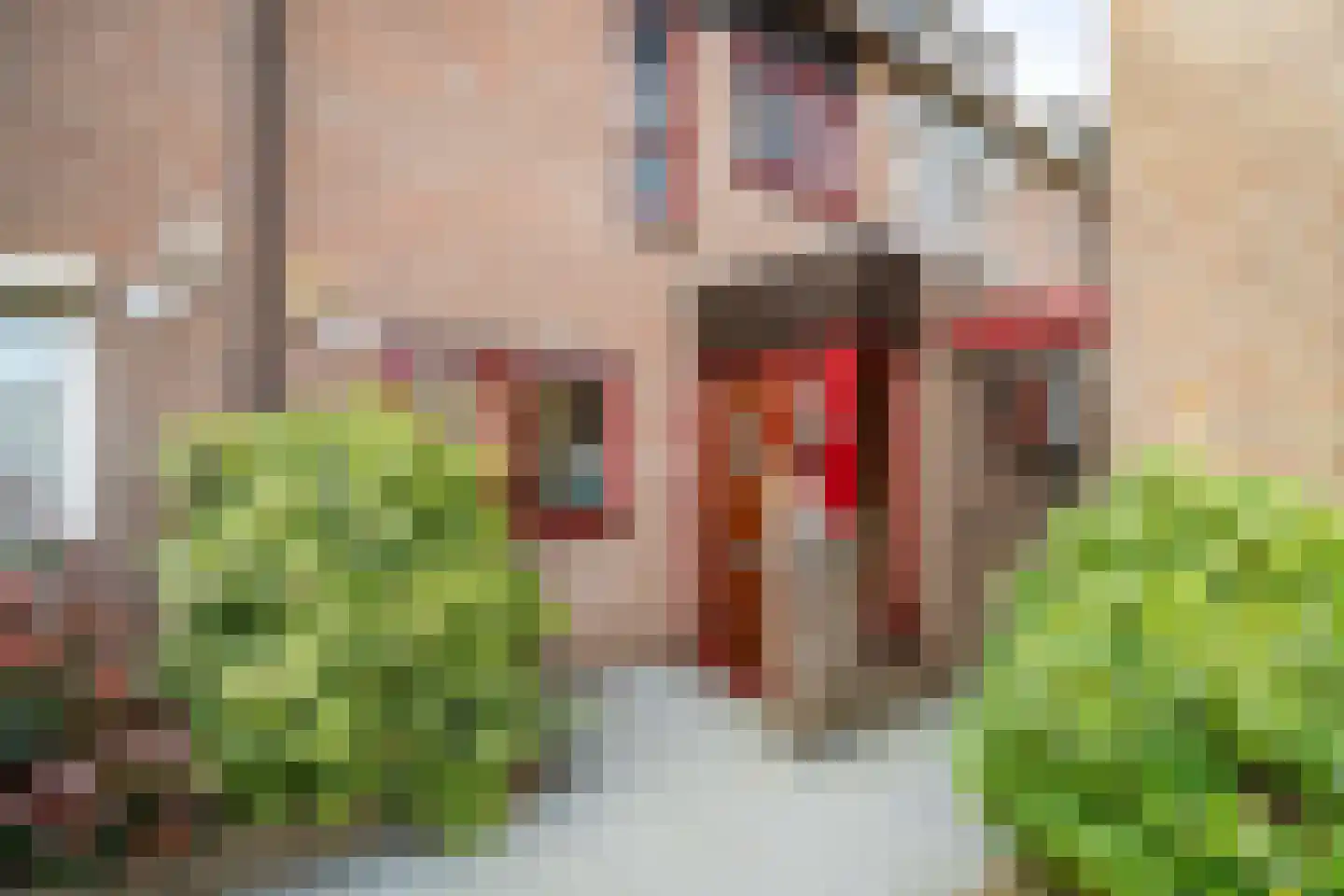 Zuringvaart 5 Zoetermeer thumbnail 27