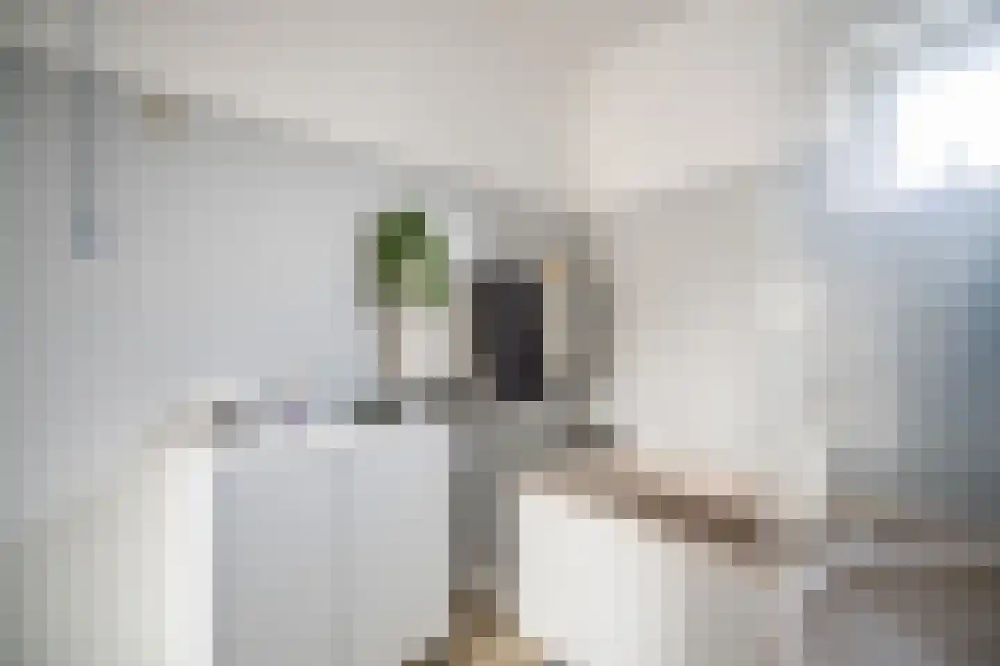 Zuringvaart 5 Zoetermeer thumbnail 35