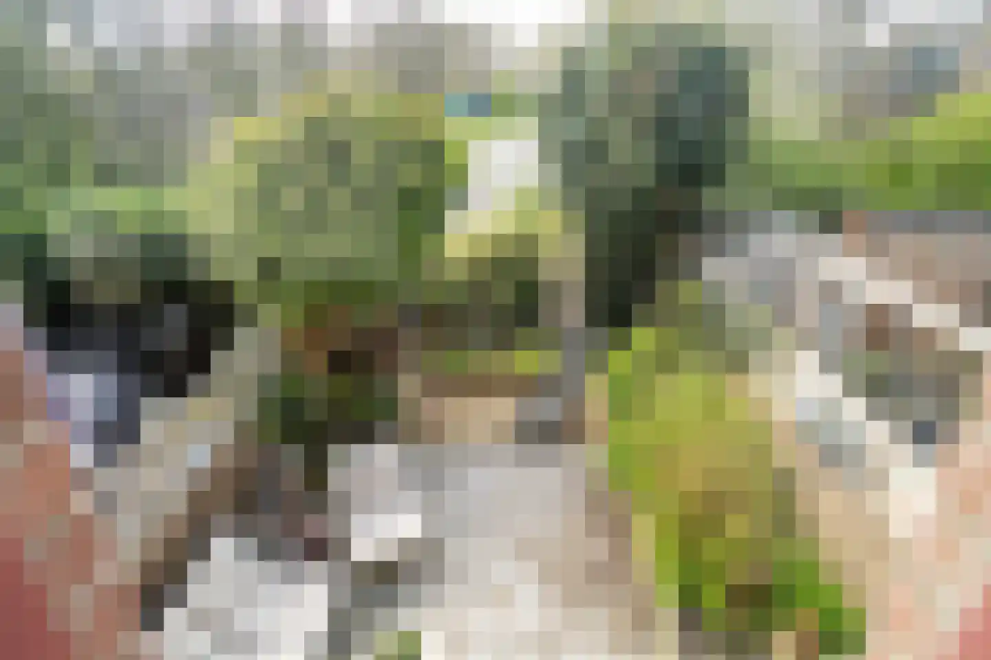 Zuringvaart 5 Zoetermeer thumbnail 39