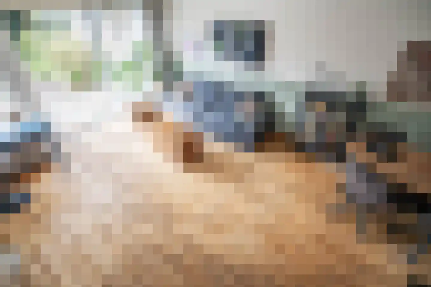 Zuringvaart 5 Zoetermeer thumbnail 4