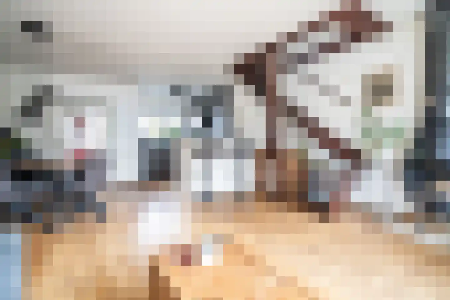 Zuringvaart 5 Zoetermeer thumbnail 5