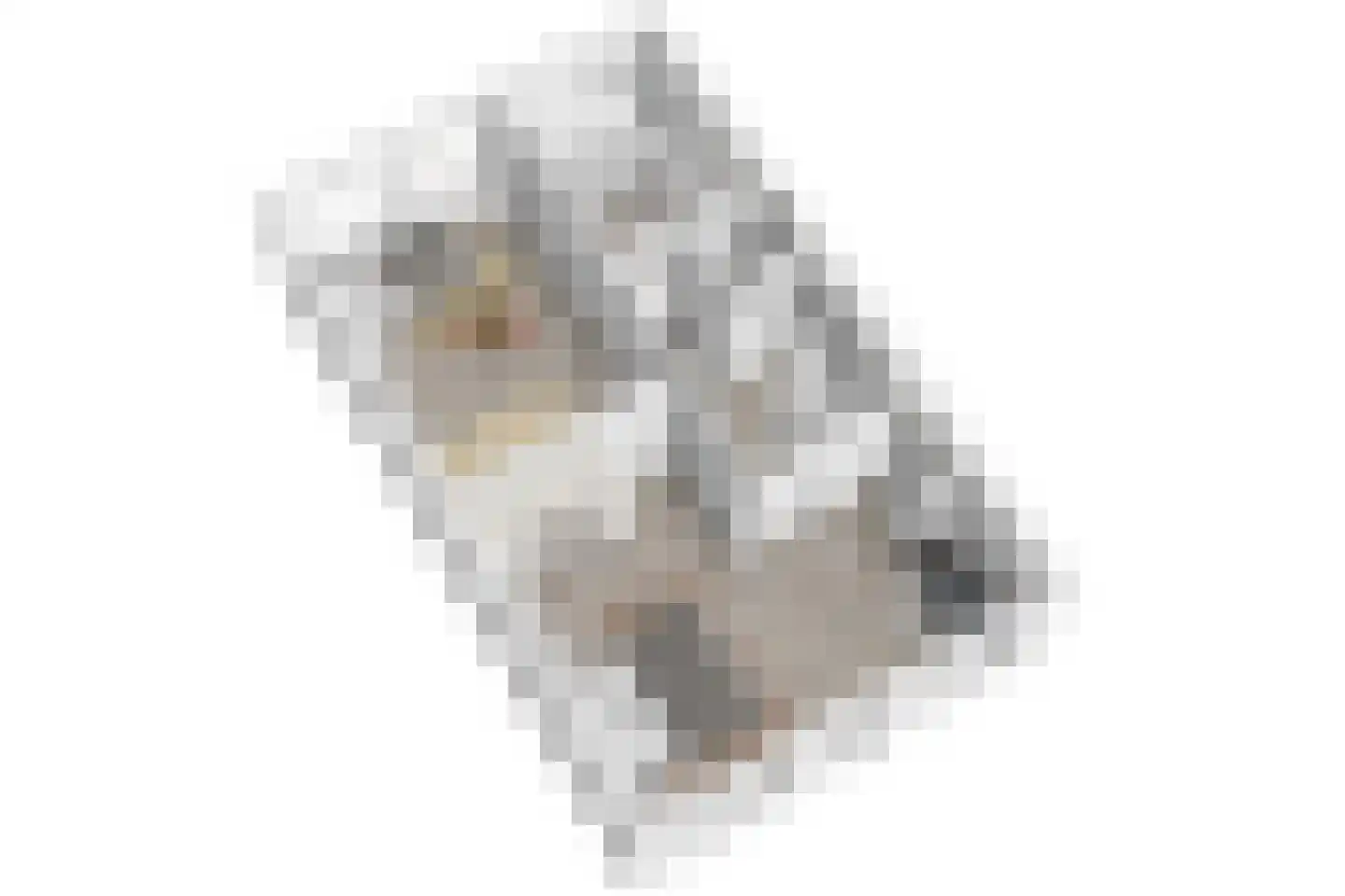 Zuringvaart 5 Zoetermeer thumbnail 64