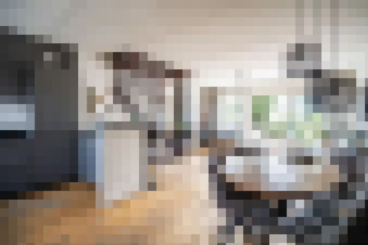 Zuringvaart 5 Zoetermeer thumbnail 9