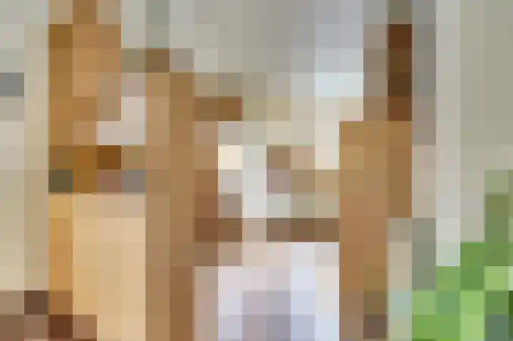 Zuringveld 10 Waddinxveen thumbnail 15