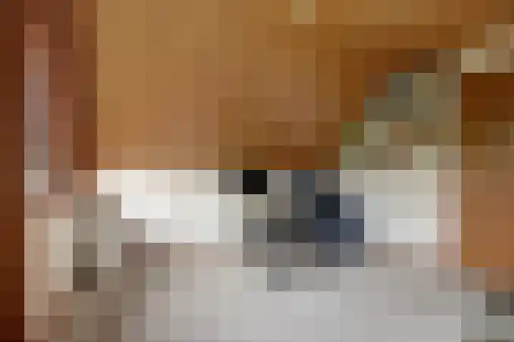 Zuringveld 10 Waddinxveen thumbnail 35