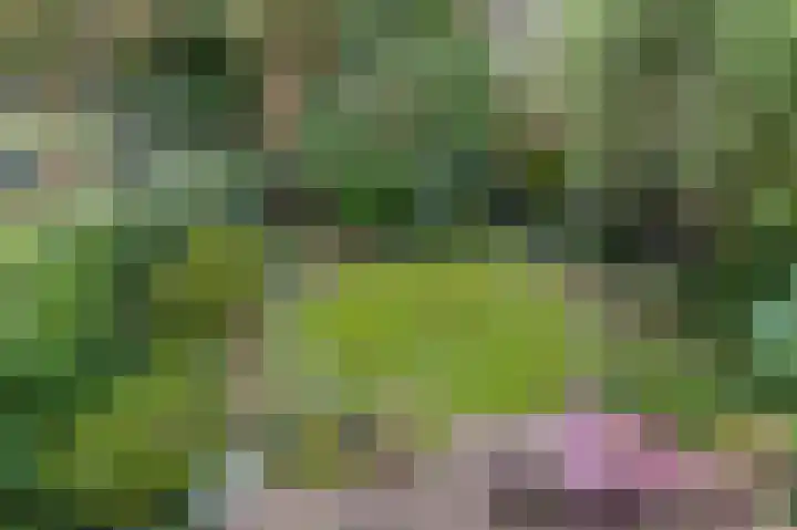 Zuringveld 10 Waddinxveen thumbnail 38