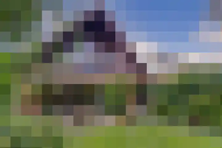 Zuringveld 10 Waddinxveen thumbnail 41