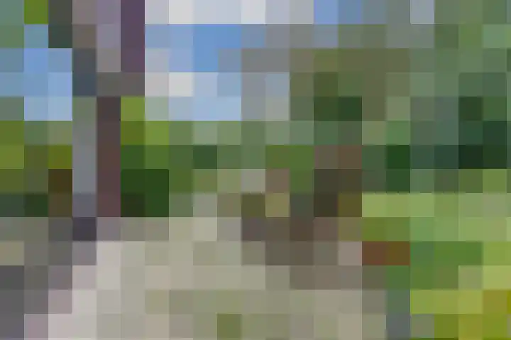 Zuringveld 10 Waddinxveen thumbnail 43