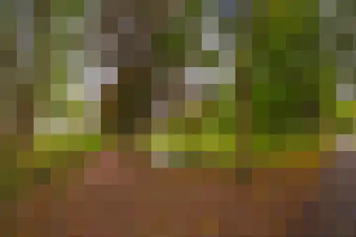 Zuringveld 10 Waddinxveen thumbnail 48