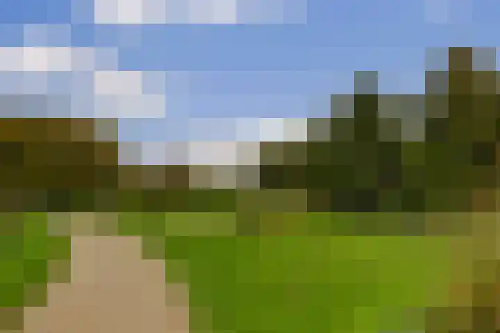 Zuringveld 10 Waddinxveen thumbnail 49