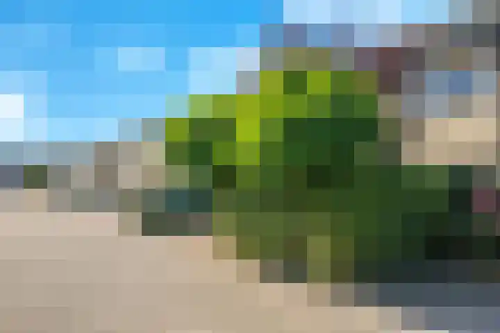 Zuringveld 12 Doetinchem thumbnail 58