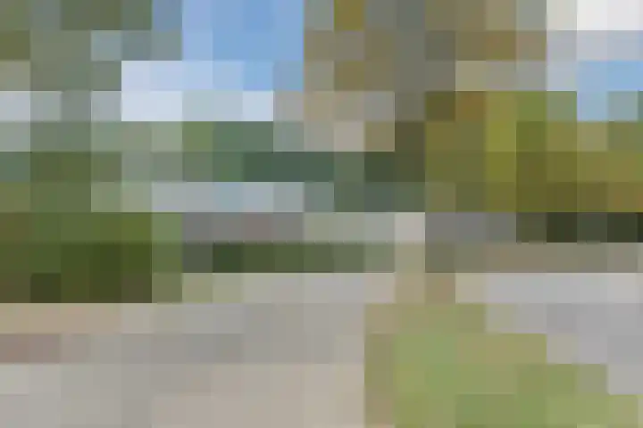 Zuringveld 19 Veghel thumbnail 28