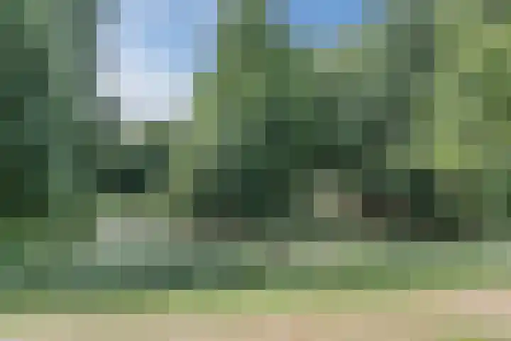 Zuringveld 19 Veghel thumbnail 29