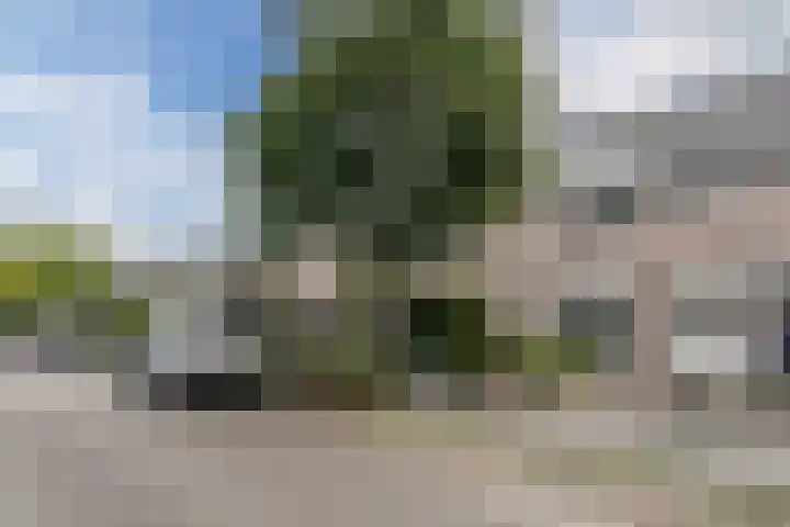 Zuringveld 19 Veghel thumbnail 6