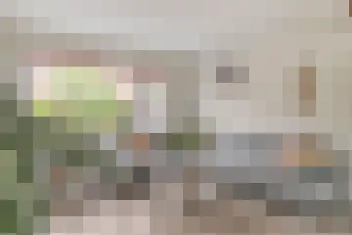Zuringveld 5 Waddinxveen thumbnail 11