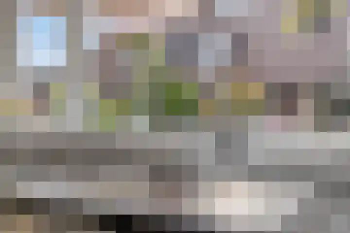 Zuringveld 5 Waddinxveen thumbnail 14