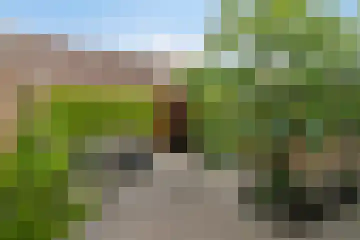 Zuringveld 5 Waddinxveen thumbnail 34