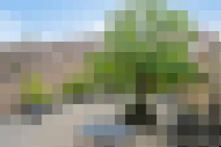 Zuringveld 5 Waddinxveen thumbnail 35