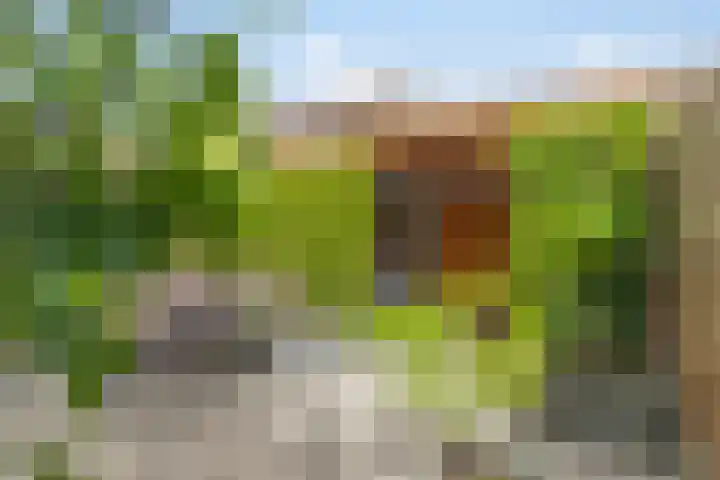 Zuringveld 5 Waddinxveen thumbnail 37
