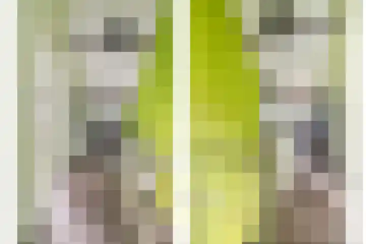 Zuringveld 5 Waddinxveen thumbnail 42