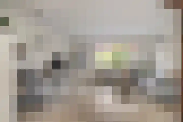 Zuringveld 5 Waddinxveen thumbnail 6