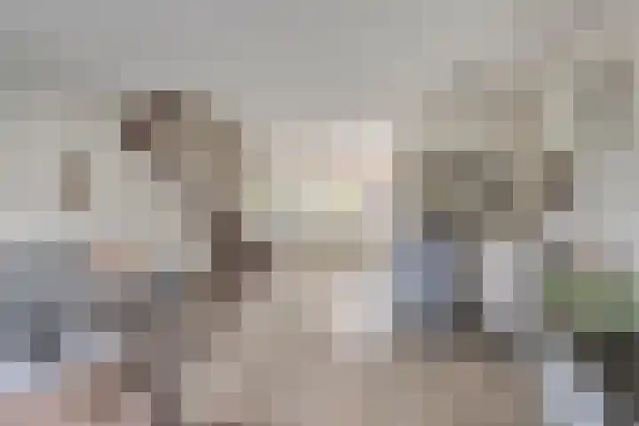 Zuringveld 5 Waddinxveen thumbnail 8