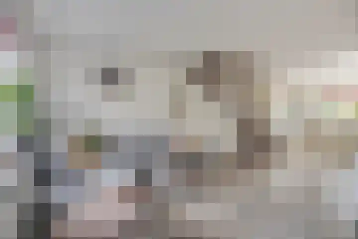 Zuringveld 5 Waddinxveen thumbnail 9