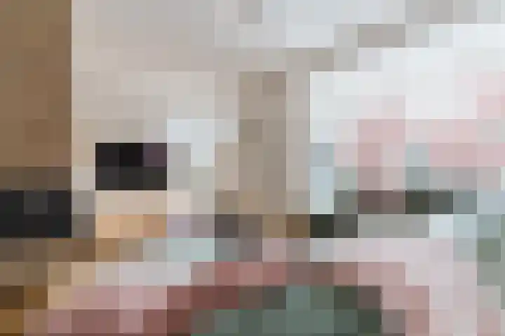 Zuringweide 10 Dongen thumbnail 10