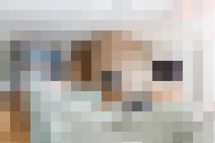 Zuringweide 10 Dongen thumbnail 11