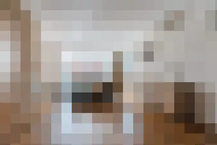 Zuringweide 10 Dongen thumbnail 14
