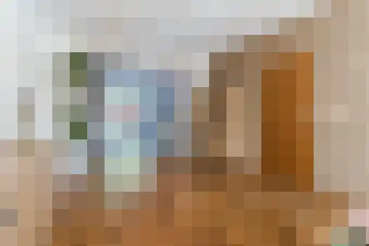 Zuringweide 10 Dongen thumbnail 15