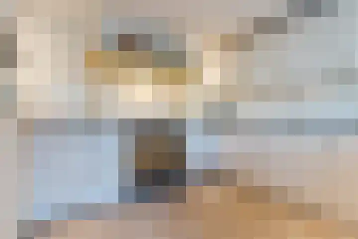 Zuringweide 10 Dongen thumbnail 20