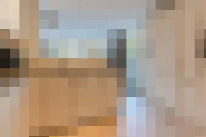 Zuringweide 10 Dongen thumbnail 21